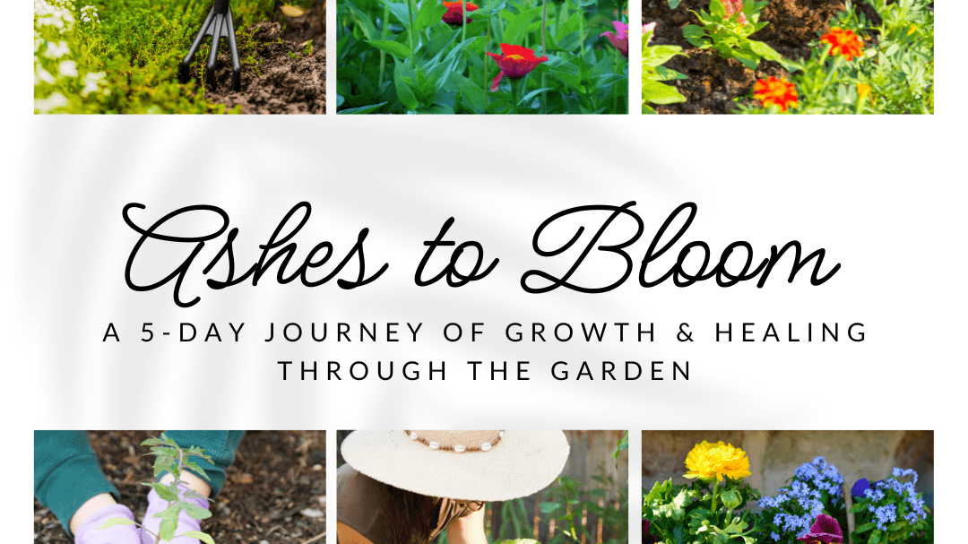 Ashes to Bloom: A 5-Day Gardening Journey