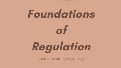 Get My Guide: Foundations of Regulation