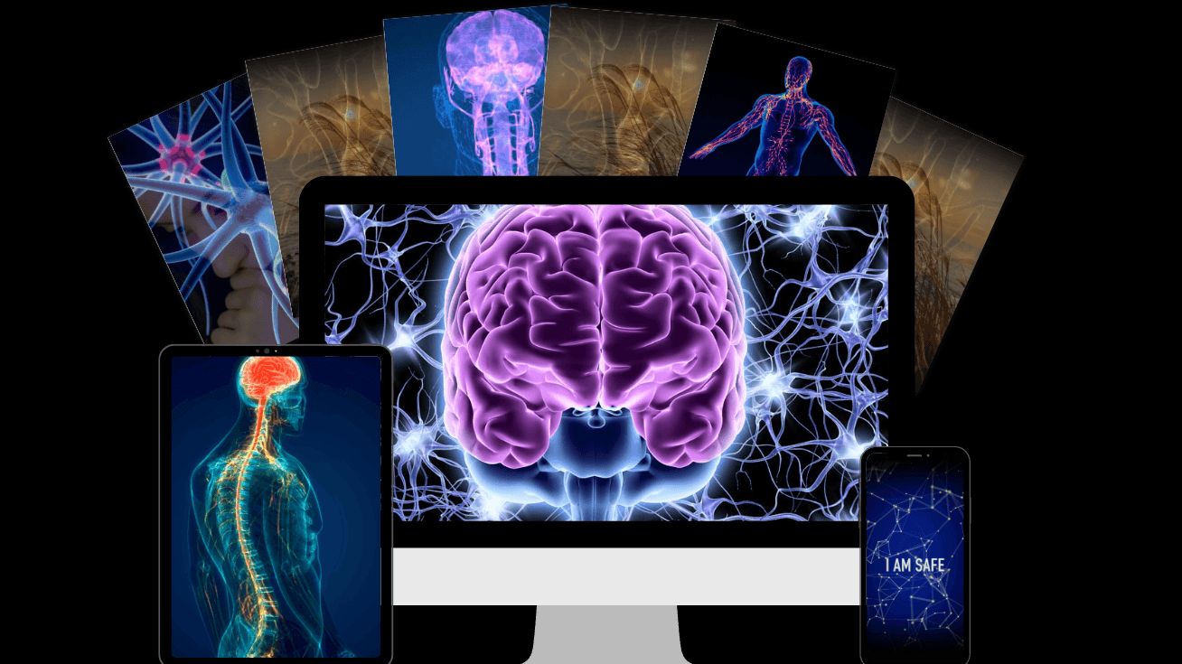 Nervous System Wealth Integration Program