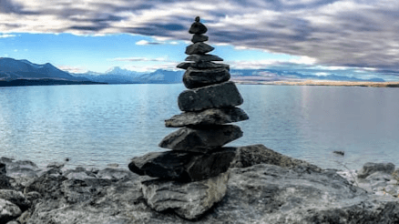 Follow Up Wellness Consult - 1 hr.