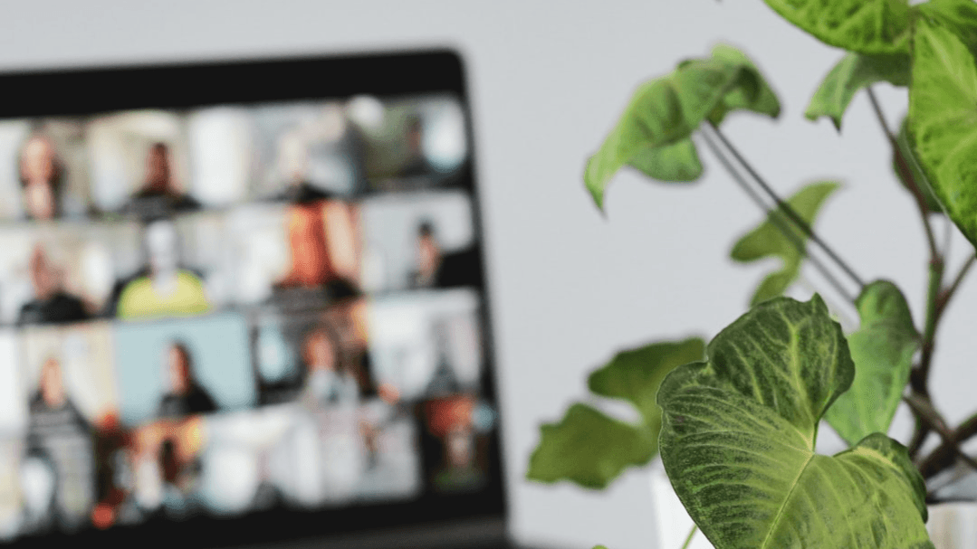 The Greater Than Green Room (Virtual Membership)