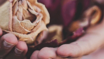 Book a 1:1 Zoom Tarot session with me!