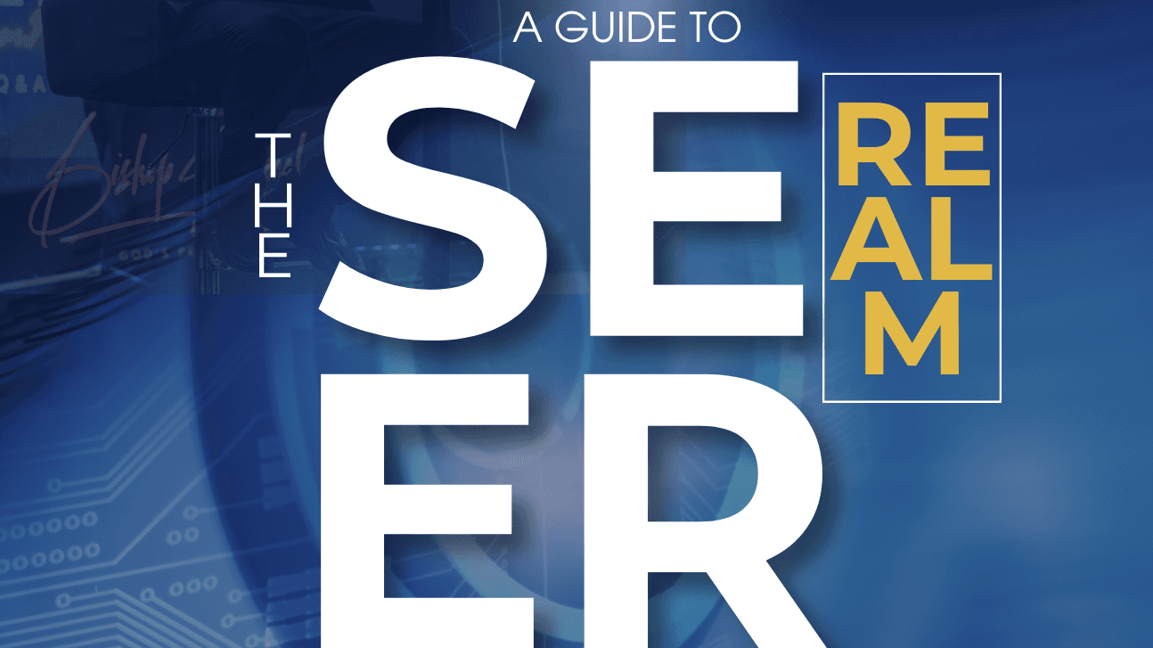 The 4 Types of Seers Guide