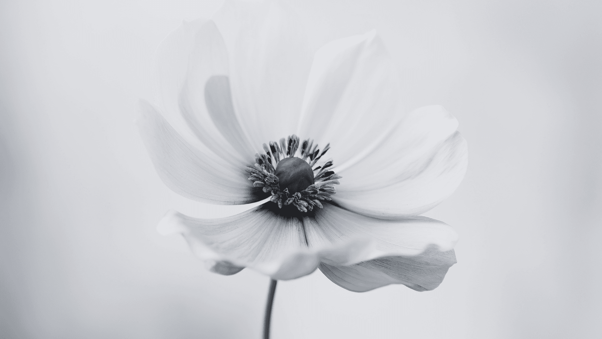 MANIFESTATION & HEALING EXPERIENCE