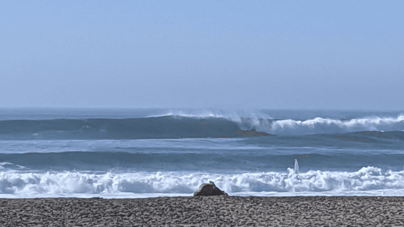 Your Complete Surf Training Week