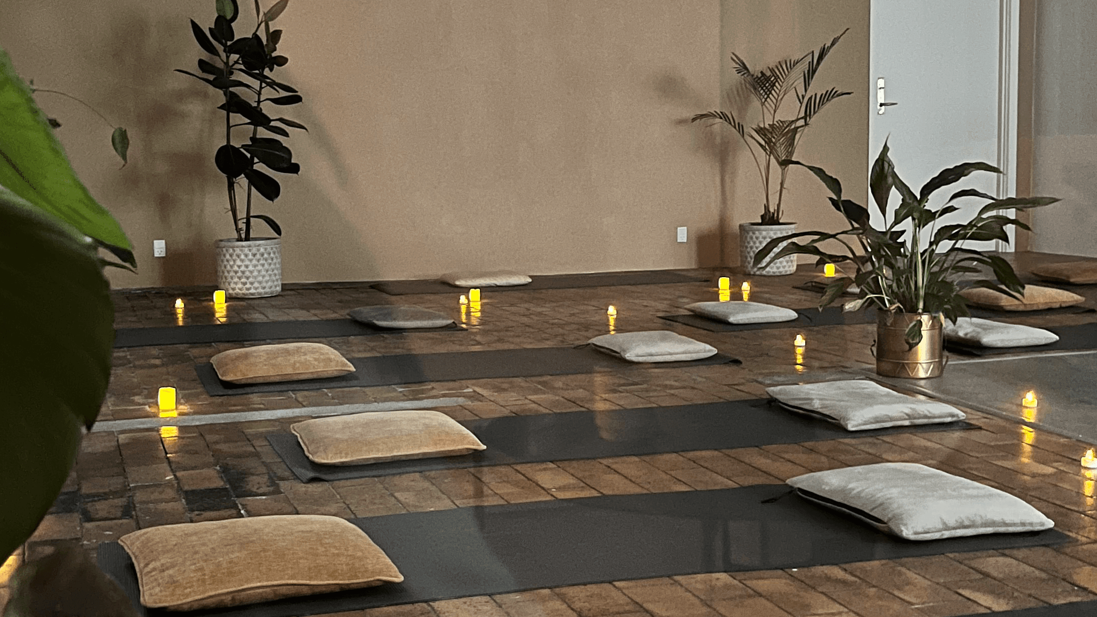 Somatic & Breathwork Session