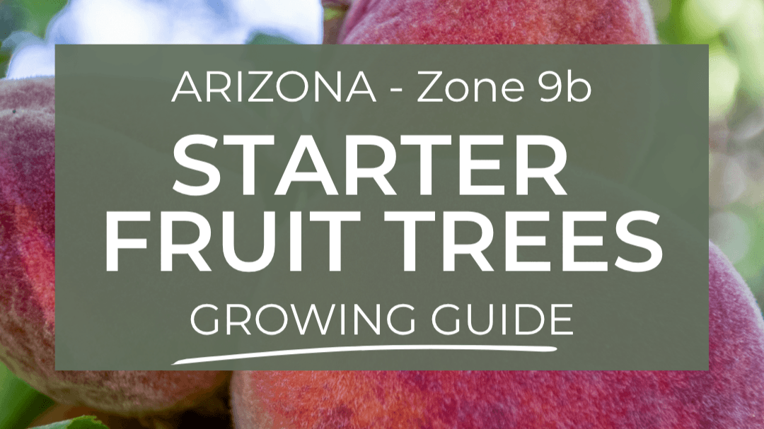 Arizona - Zone 9b Starter Fruit Trees