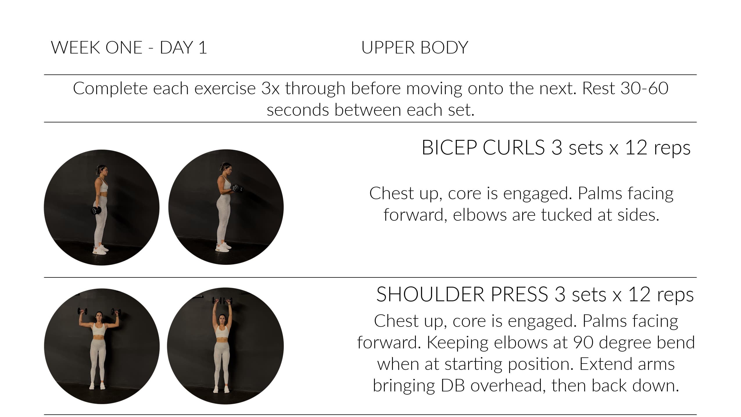 4 WEEK FULL BODY GUIDE *DB ONLY*