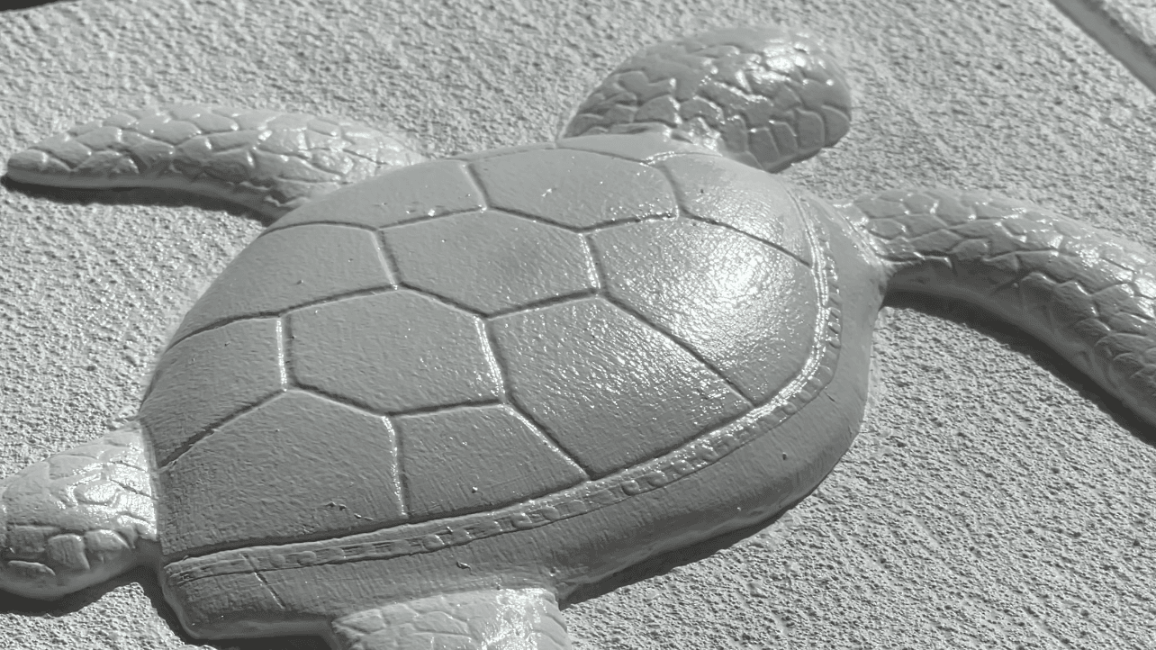 Plaster Turtle Tutorial