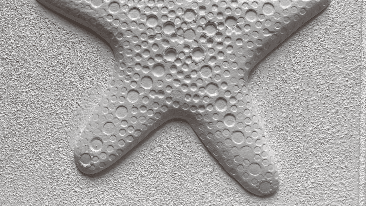 Plaster Starfish Tutorial