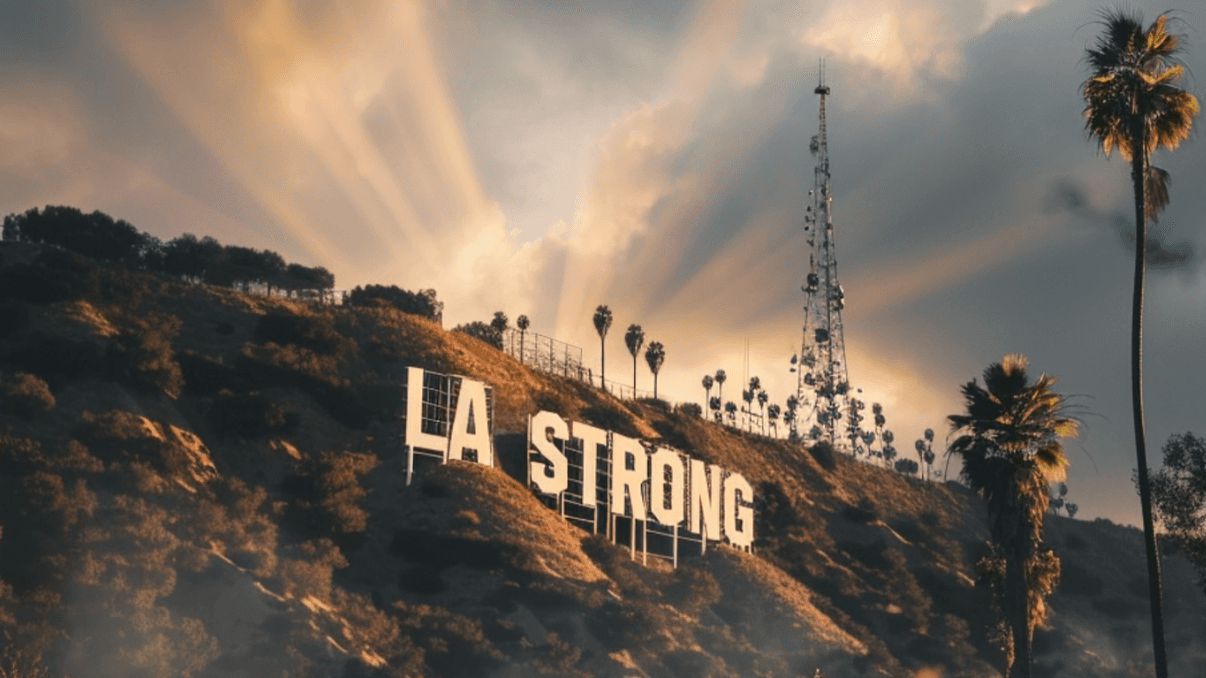 #LA Wildfire Organized Resources