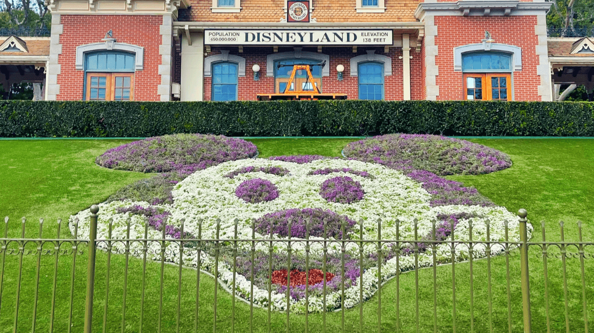Practically Perfect Planning Call