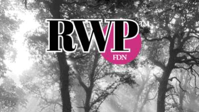 Become a Reflective Walk Practitioner™ - FDN