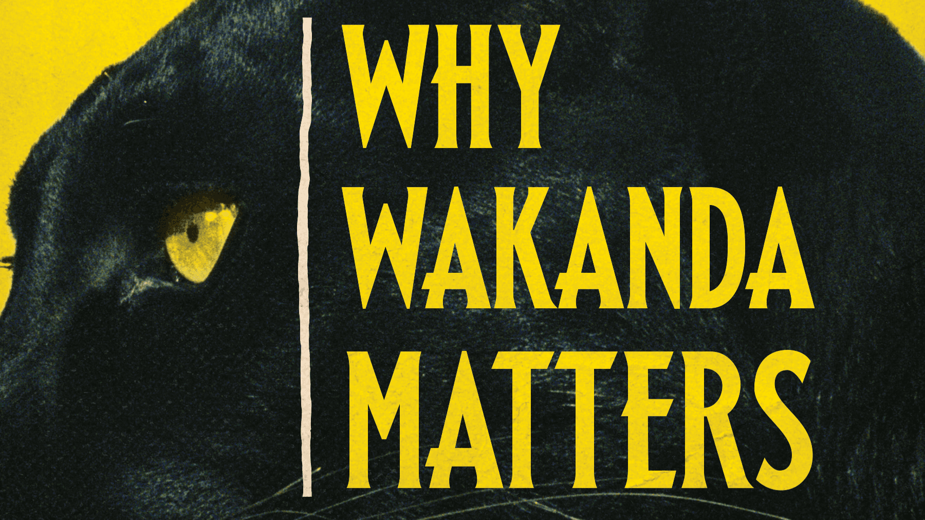 Boondocks/ Why Wakanda Matters Bundle
