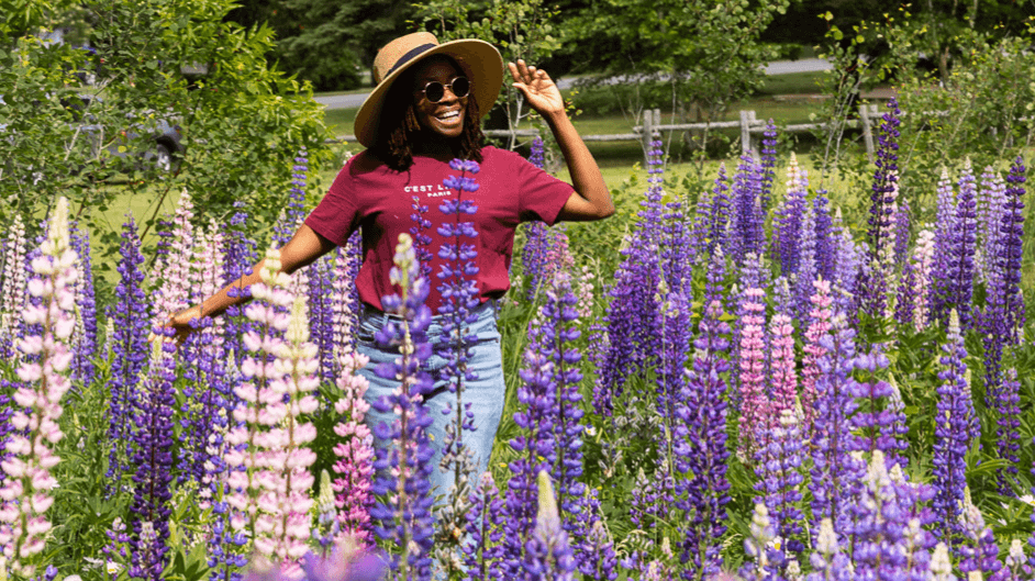 Quebec Maritime Summer Road Trip Guide