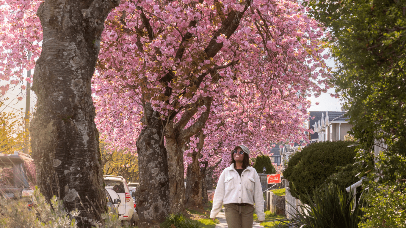 Vancouver Island Spring Road Trip Guide
