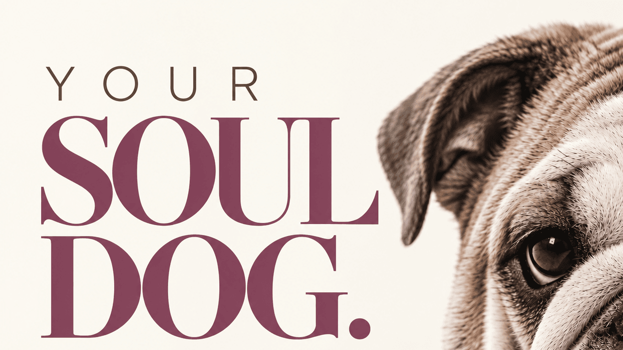 Your Soul Dog.Your Story. Digital Artwork.