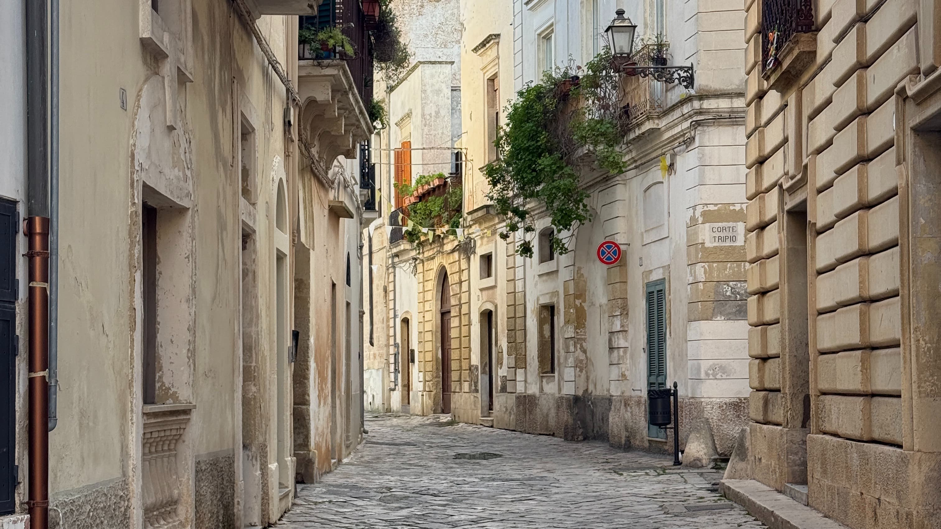 Get My Move to Italy Resource Guide Now!