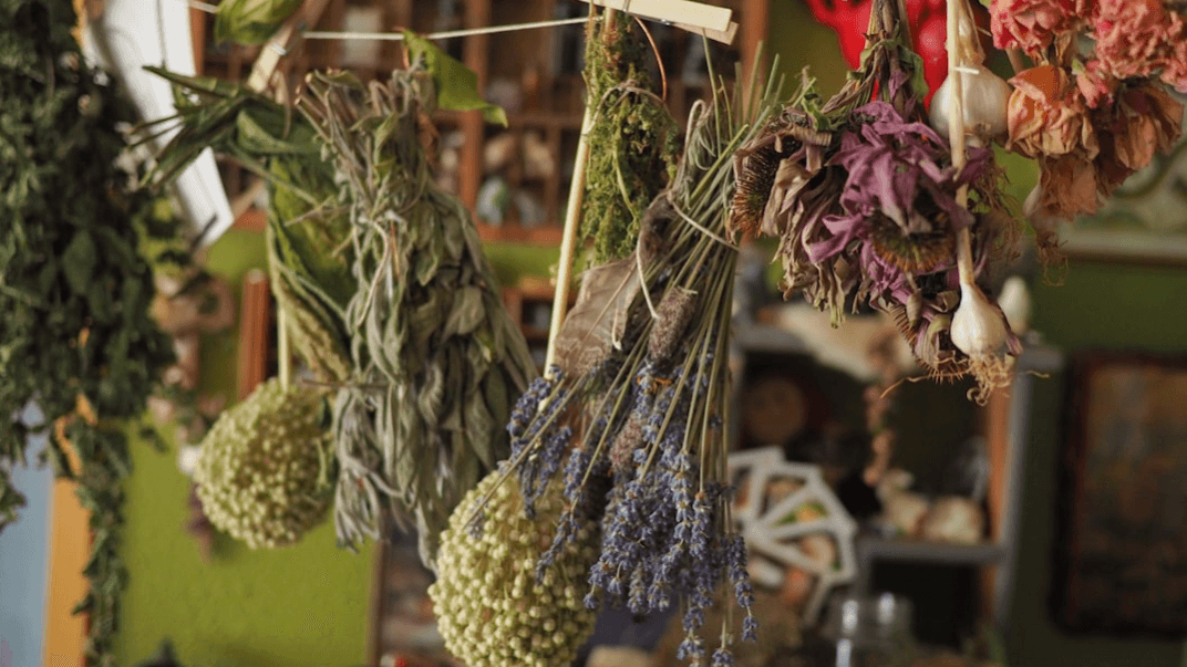 3. THE HOME APOTHECARY