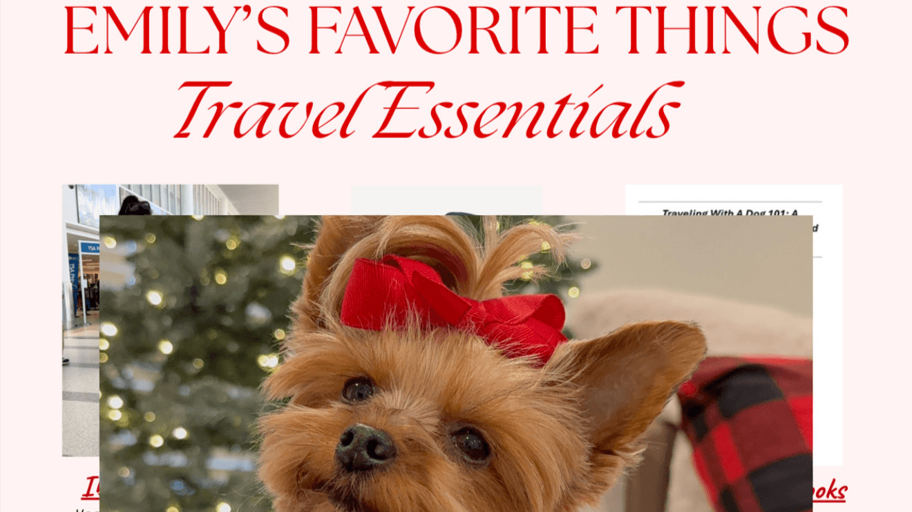 FREE Holiday Gift Guide for Pet Parents
