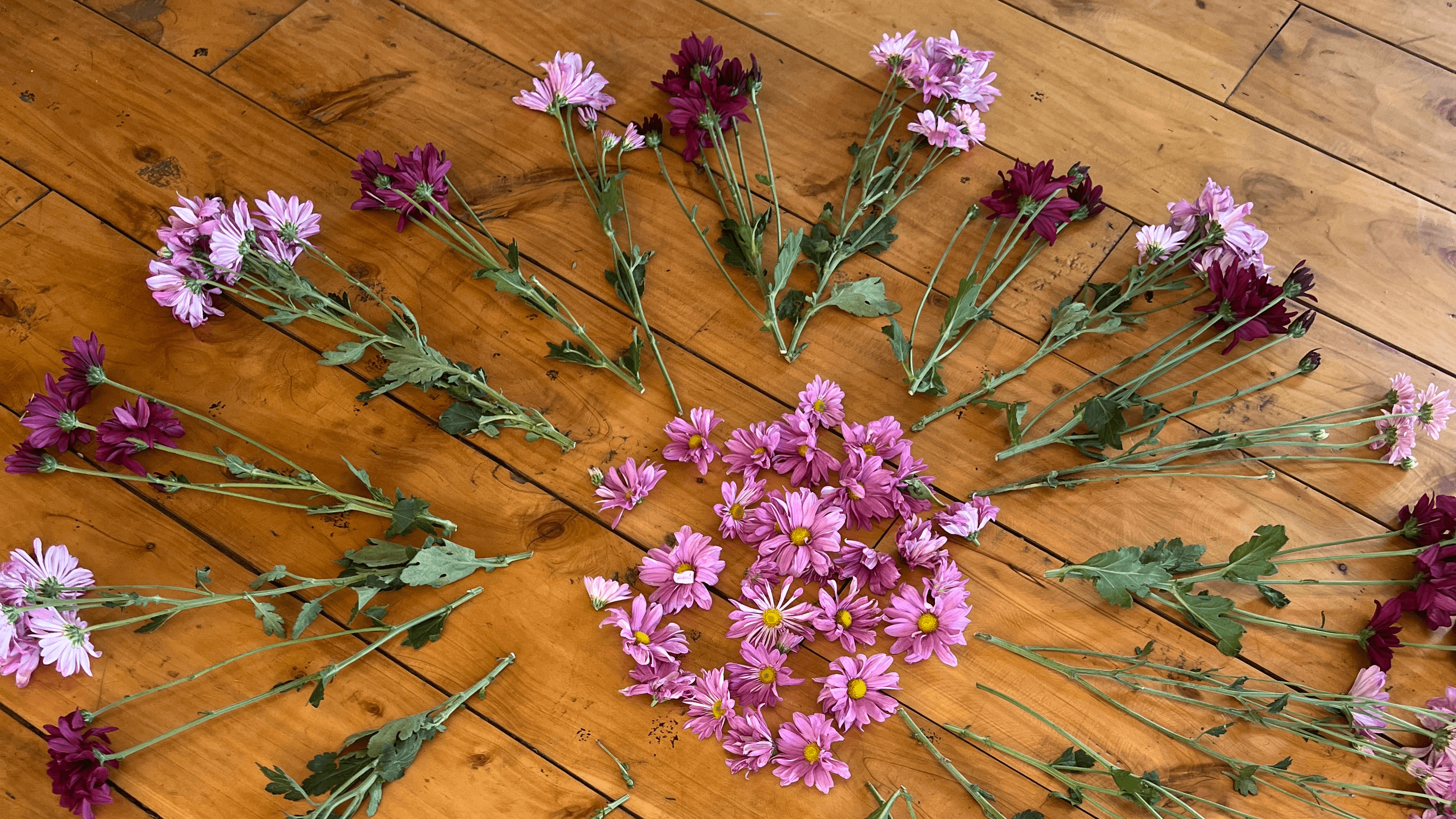 🌿 Retreats & Workshops