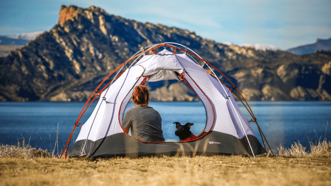 The Ultimate TENT CAMPING CHEAT GUIDE for Newbies