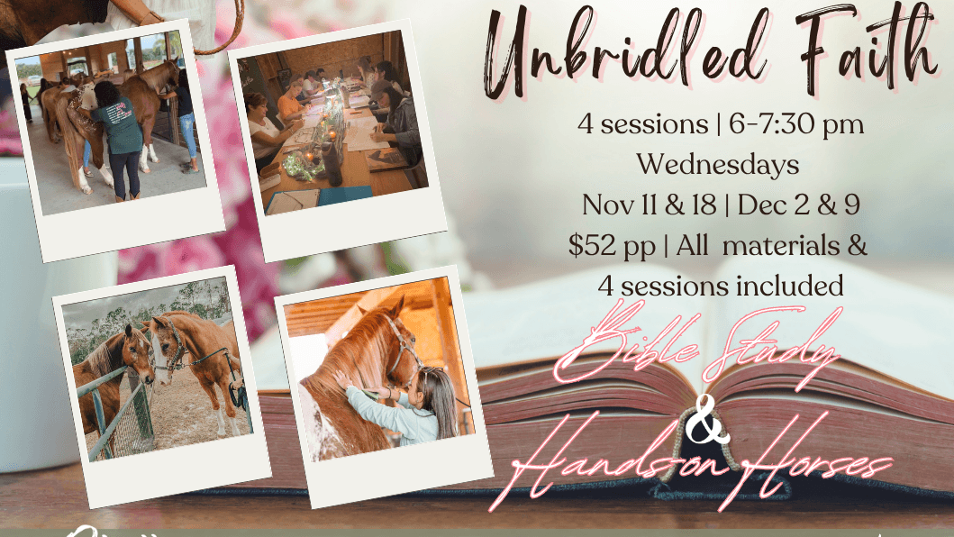 Unbridled Faith: Series 2