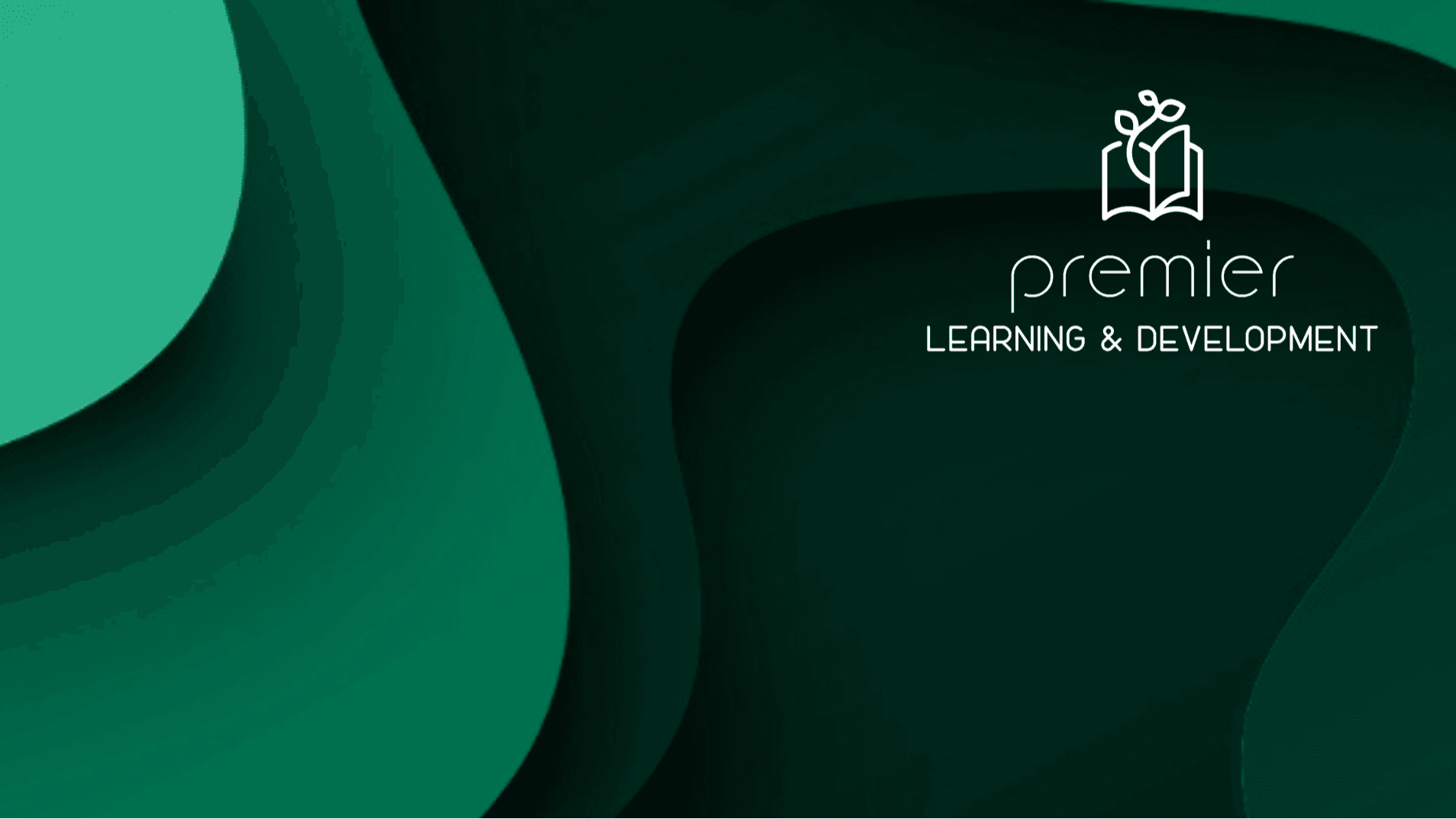 Premier Resume Revamp