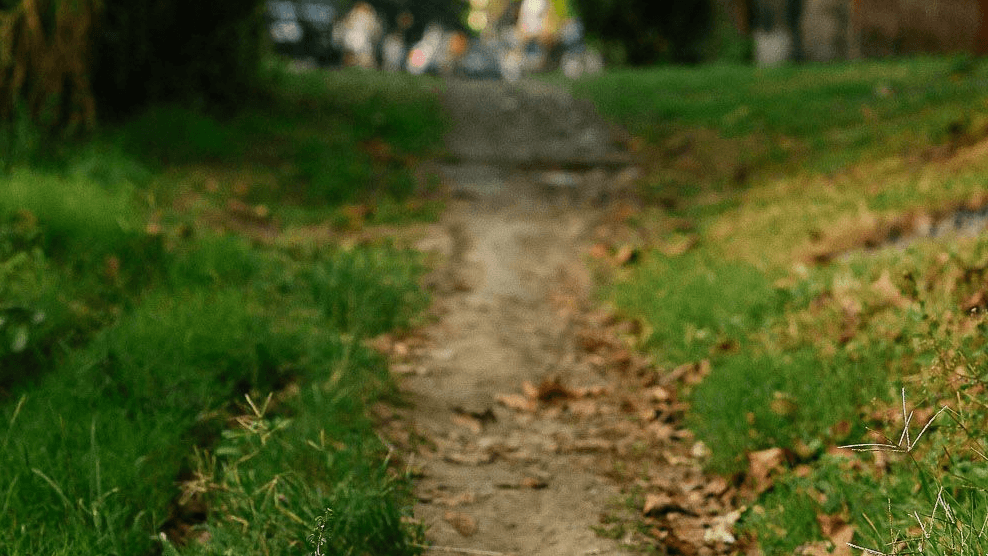Discovering Your Child's True Learning Path