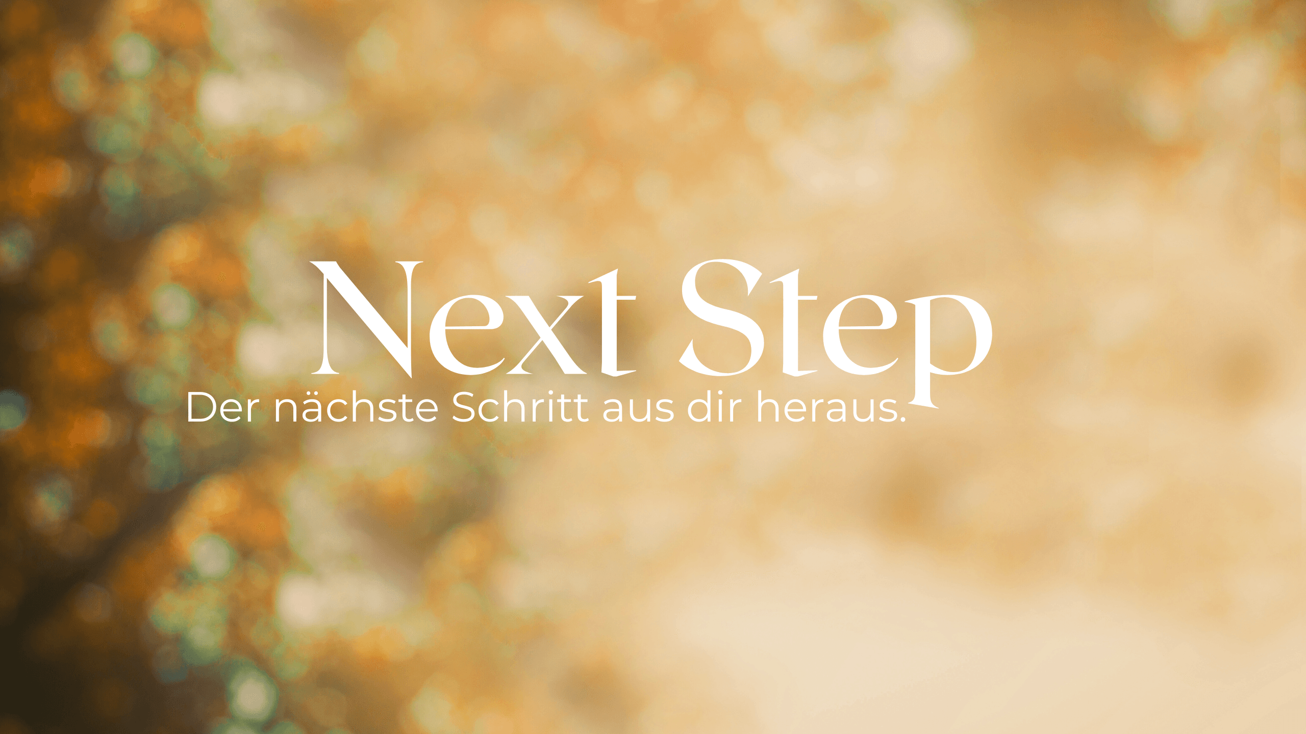 Next Step // Embodied Online Session
