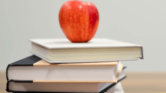 How to Choose a School For Your Kids in Spain