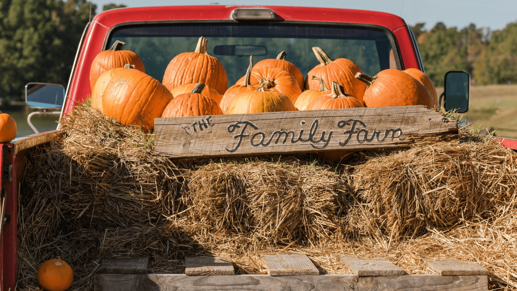 The Ultimate Fall Guide