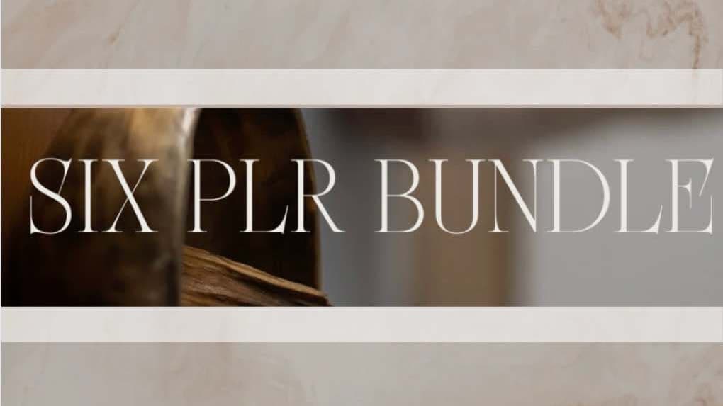 Six PLR Bundle!!
