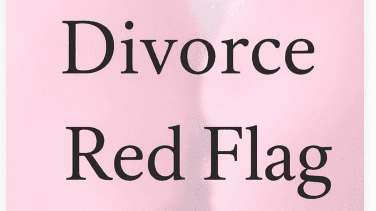 FREE Divorce Read Flag Checklist
