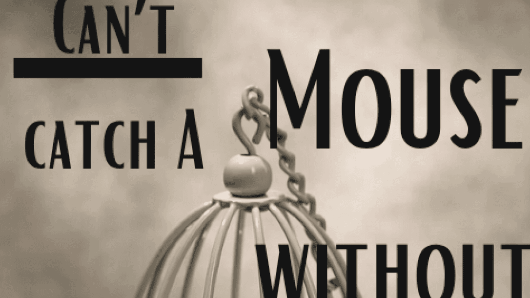 Can't Catch A Mouse WithOut No Cheese