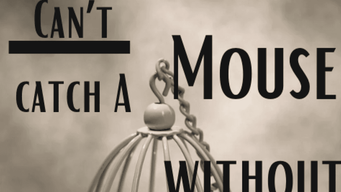 Can't Catch A Mouse WithOut No Cheese Workbook