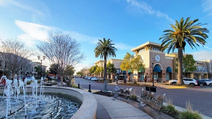 Roseville Community Guide