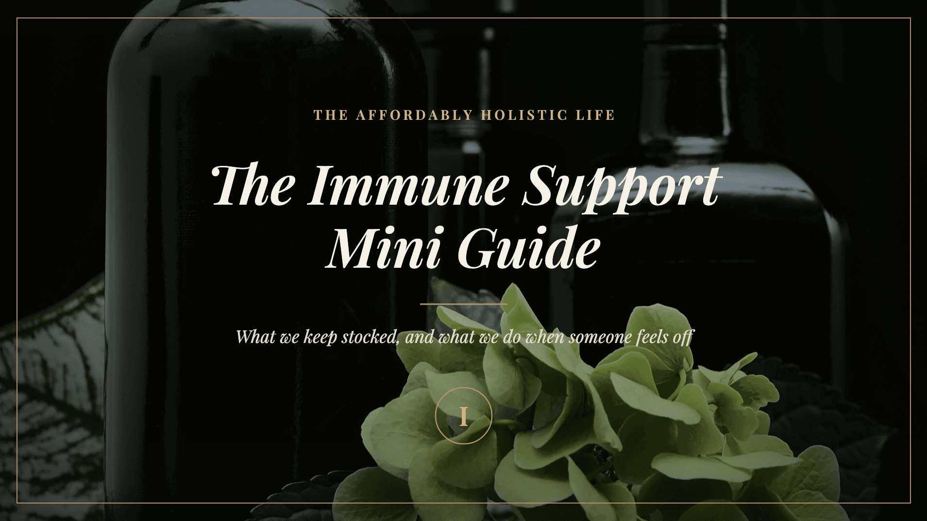 The Mini Guide: Immune Support™