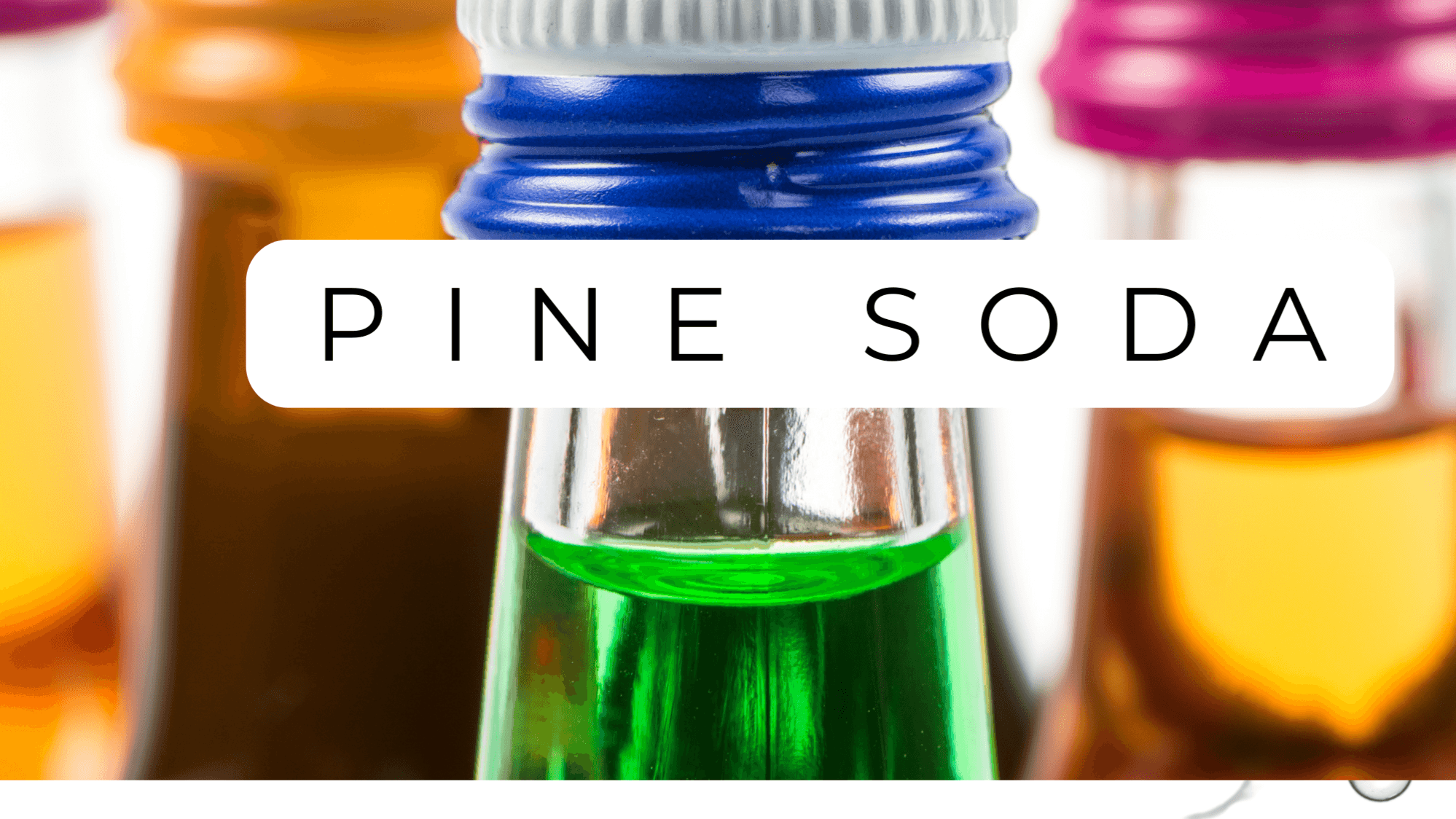 FREE Pine Needle Recipe eBook