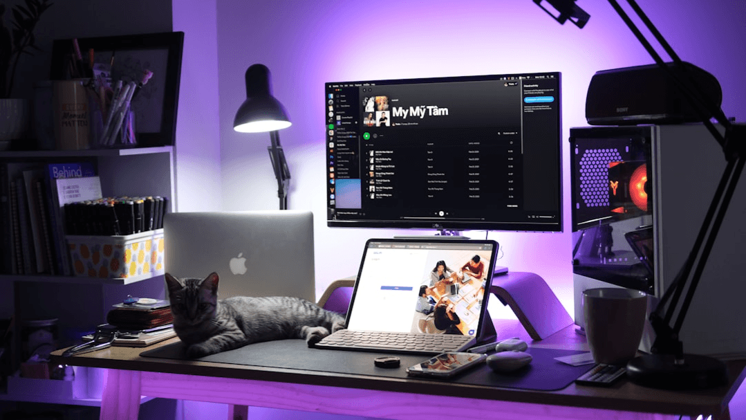 Creator Strategy Bundle