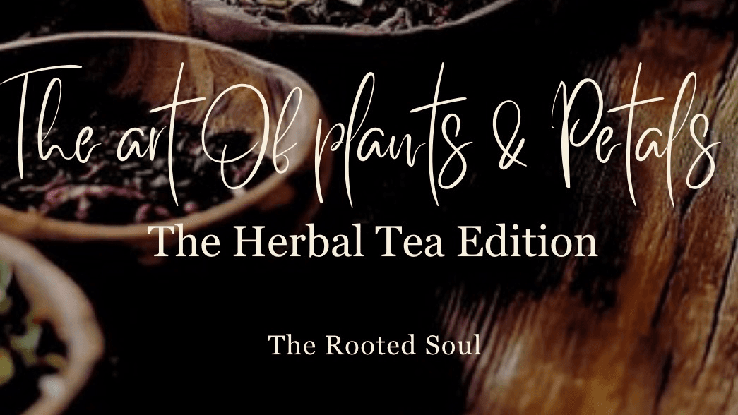 The Art of Plants & Petals 🌿
