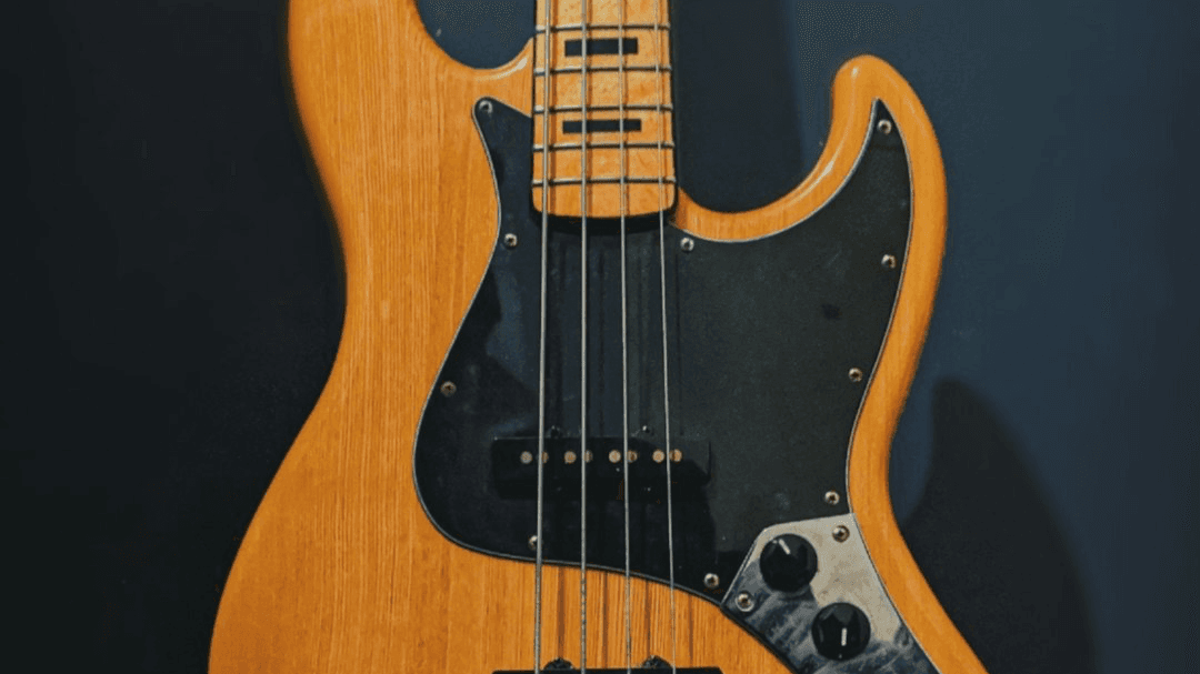The Smart Bassist 1.3 (Guide)