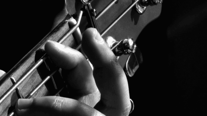 Notes Of The Fretboard Diagram (4,5 & 6 String)
