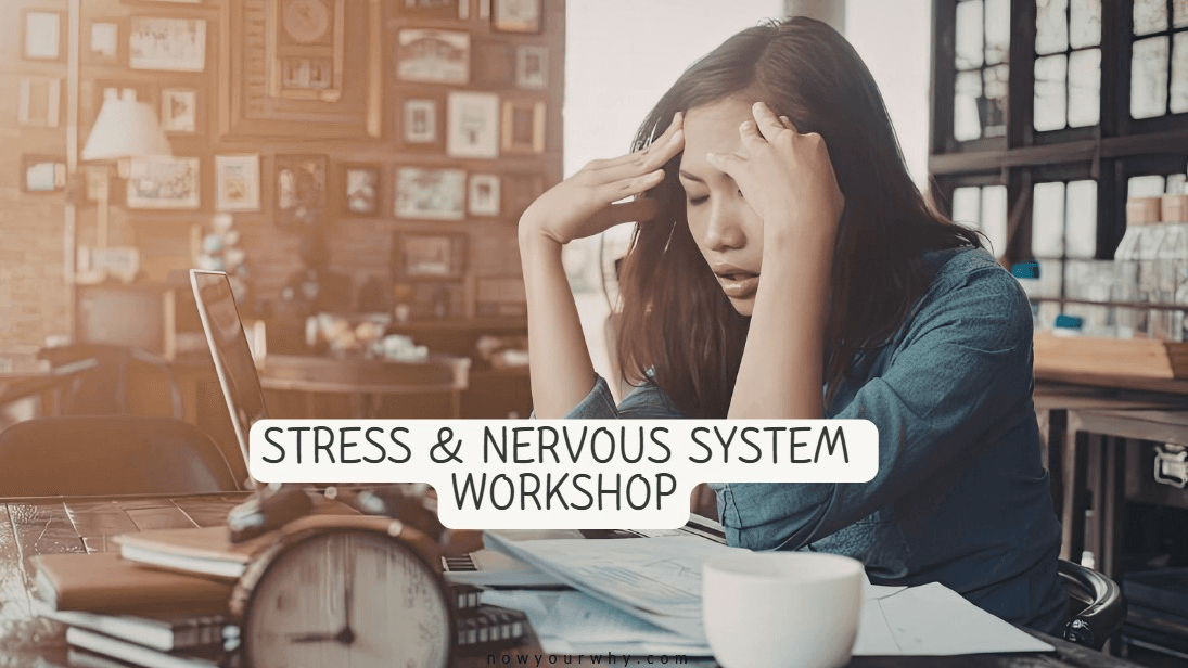 Stress & Nervous System Workshop