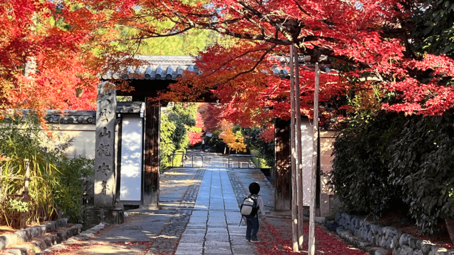 Fully Customized Kyoto Tour