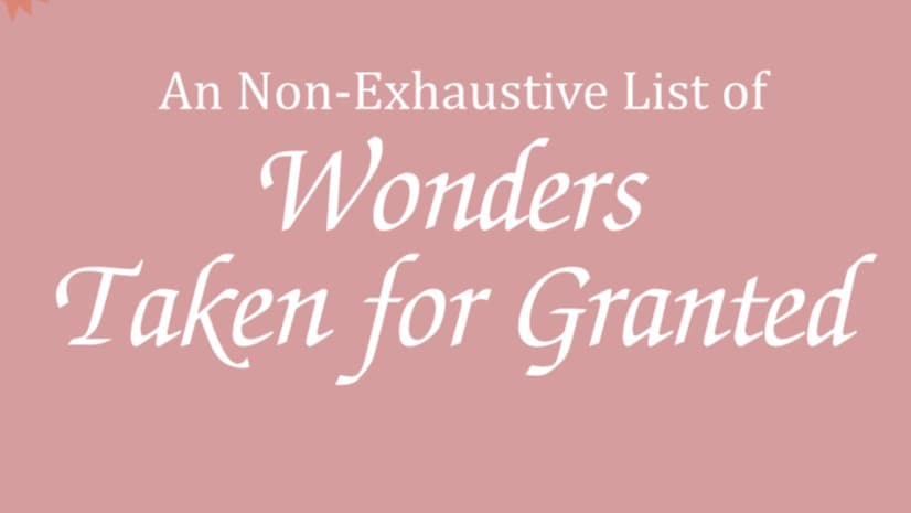 A Non-Exhaustive List of Wonders Taken for Granted