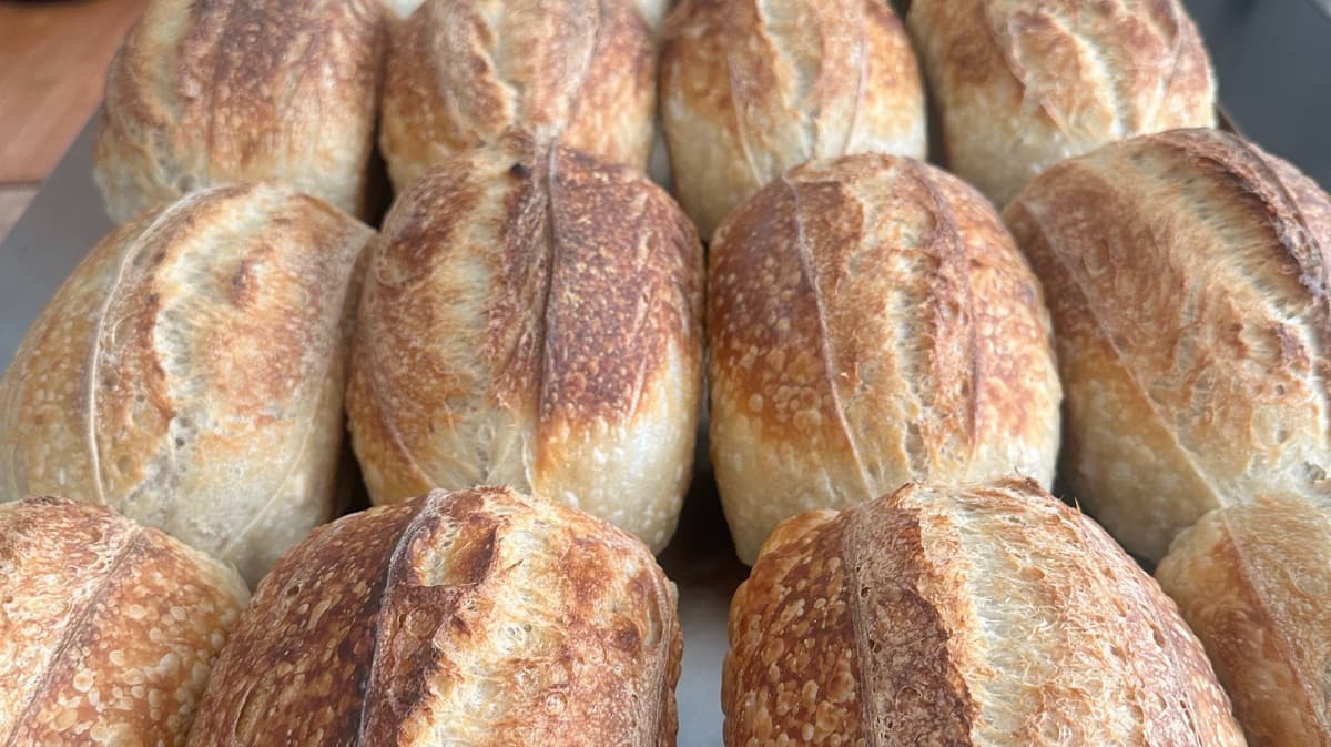 Your Go-To Sourdough Loaf