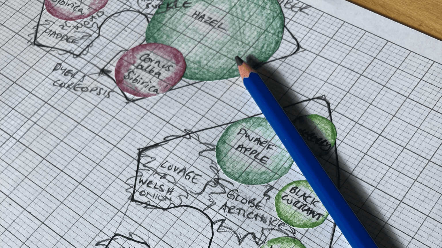 Workbook -Start your small scale food forest today