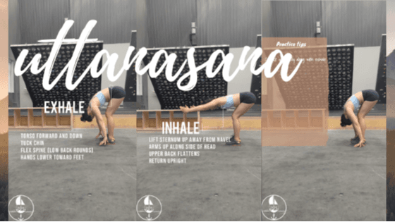 Keys for Unlocking Your Spine: Movement Key #1