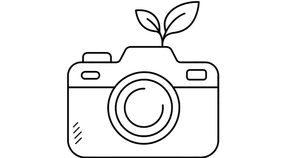 Homeschool Learning Snapshot